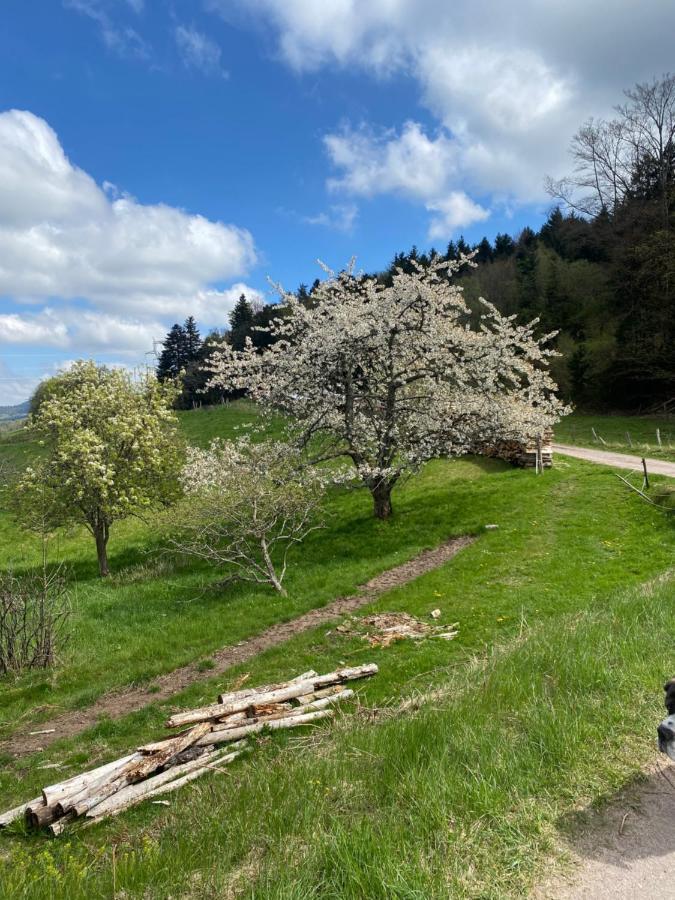 Отель Le Domaine De Pairis Орбе Экстерьер фото